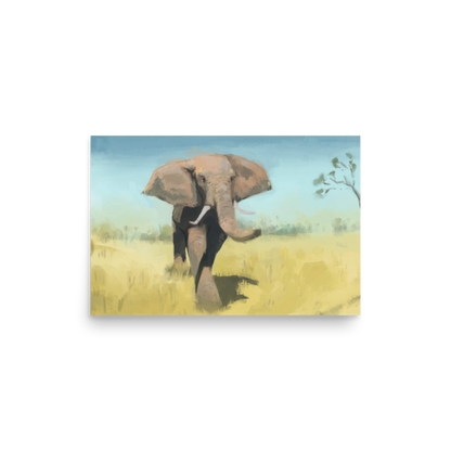 On the Savanna