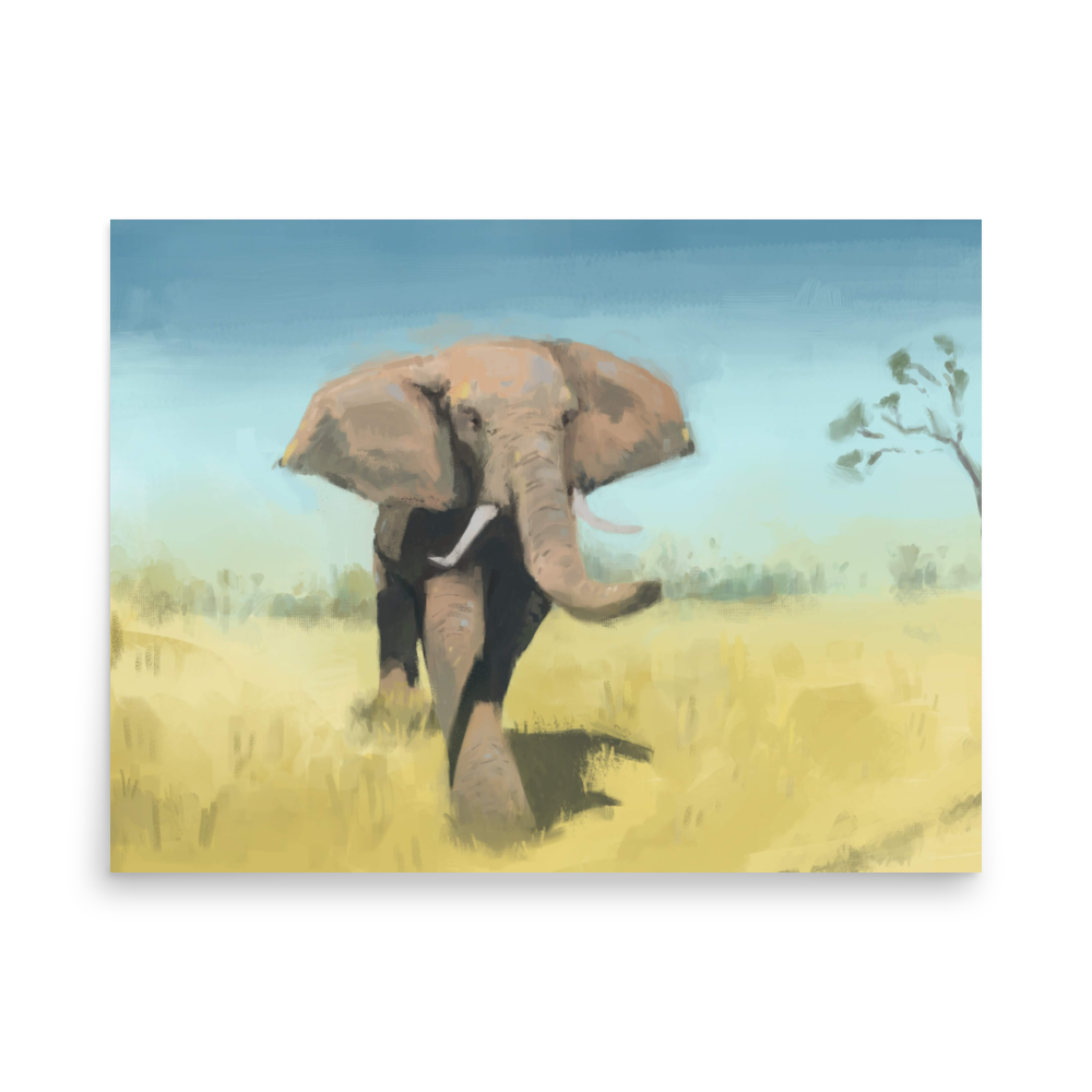 On the Savanna
